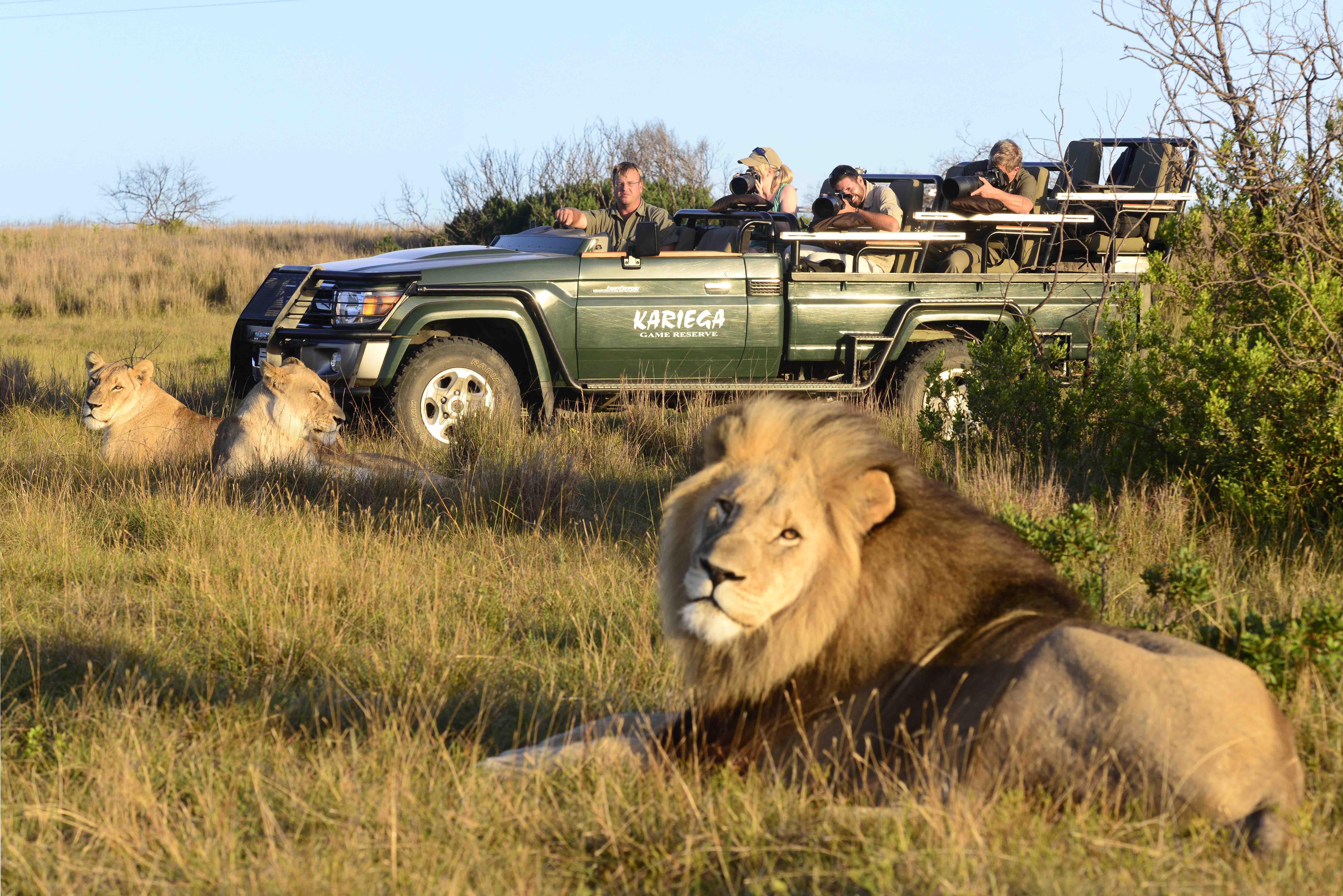 kariega safari park south africa