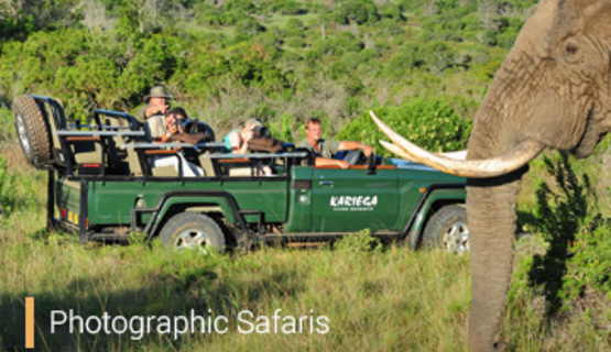 Photographic Safaris