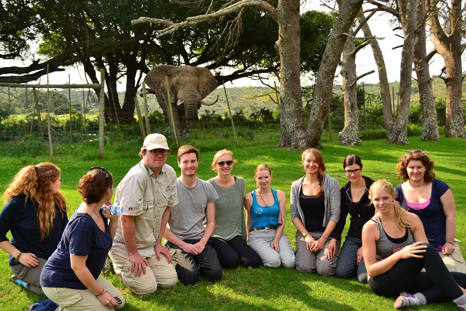 kariega volunteers with elephant
