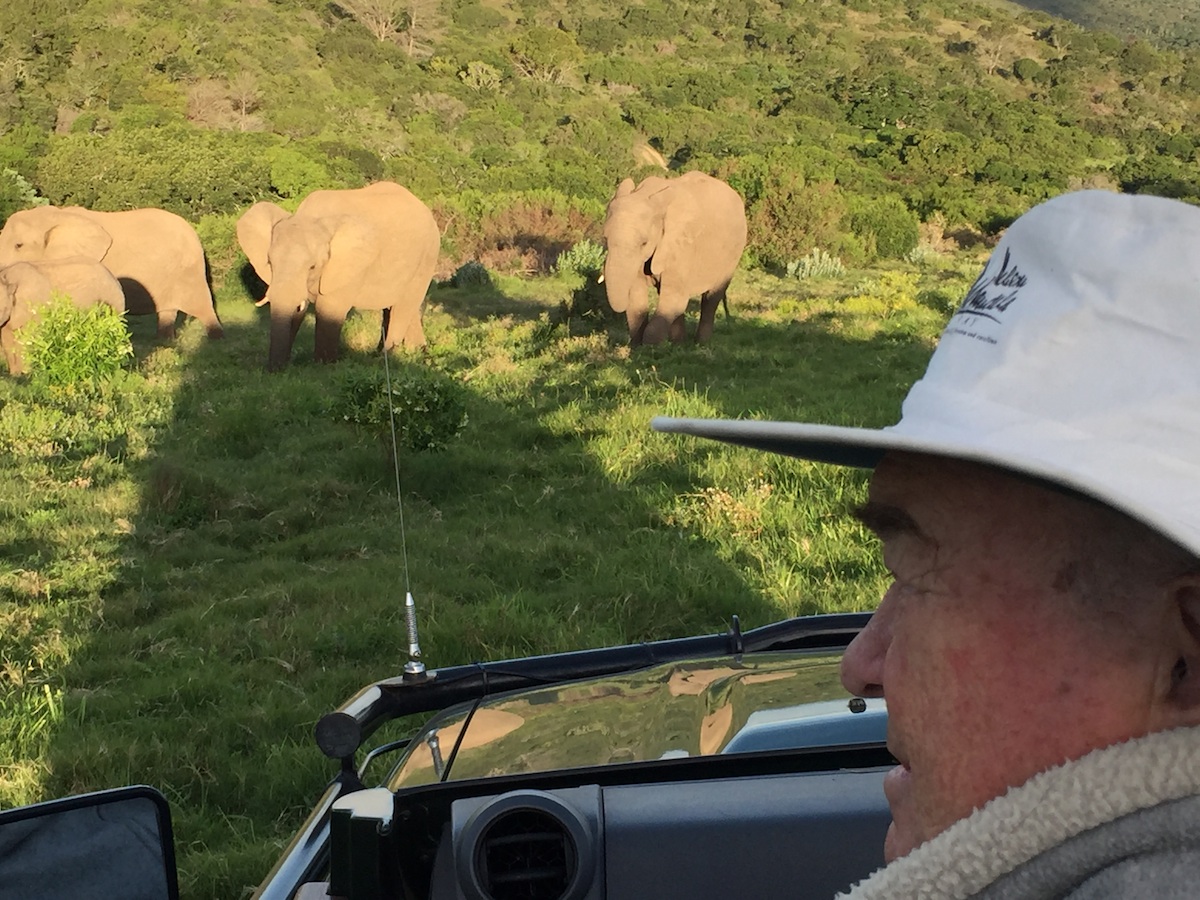Kariega Elephants - Colin Rushmere