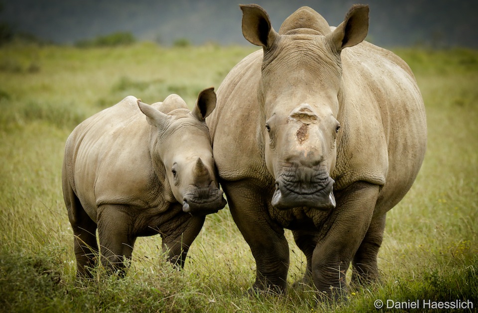 An affectionate moment between Thandi and Thembi