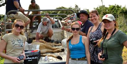 volunteers-dart-lioness.jpg