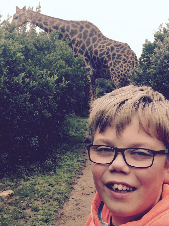 Kariega's giraffe Diggler coutesy of guest Rachael Camidbge