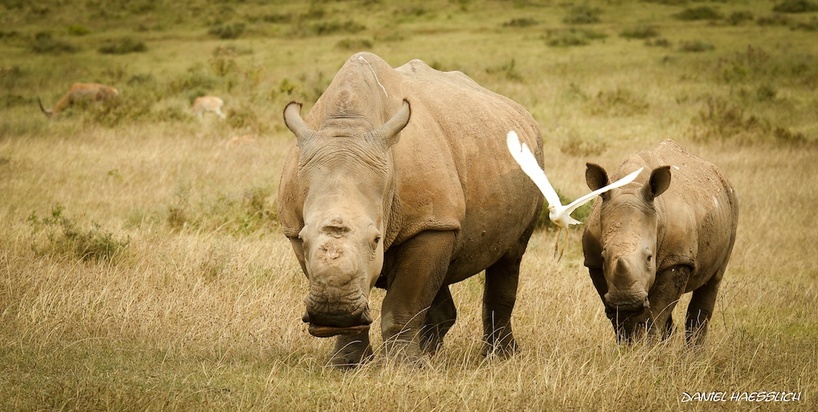 Thandi-Thembi-14months.jpg