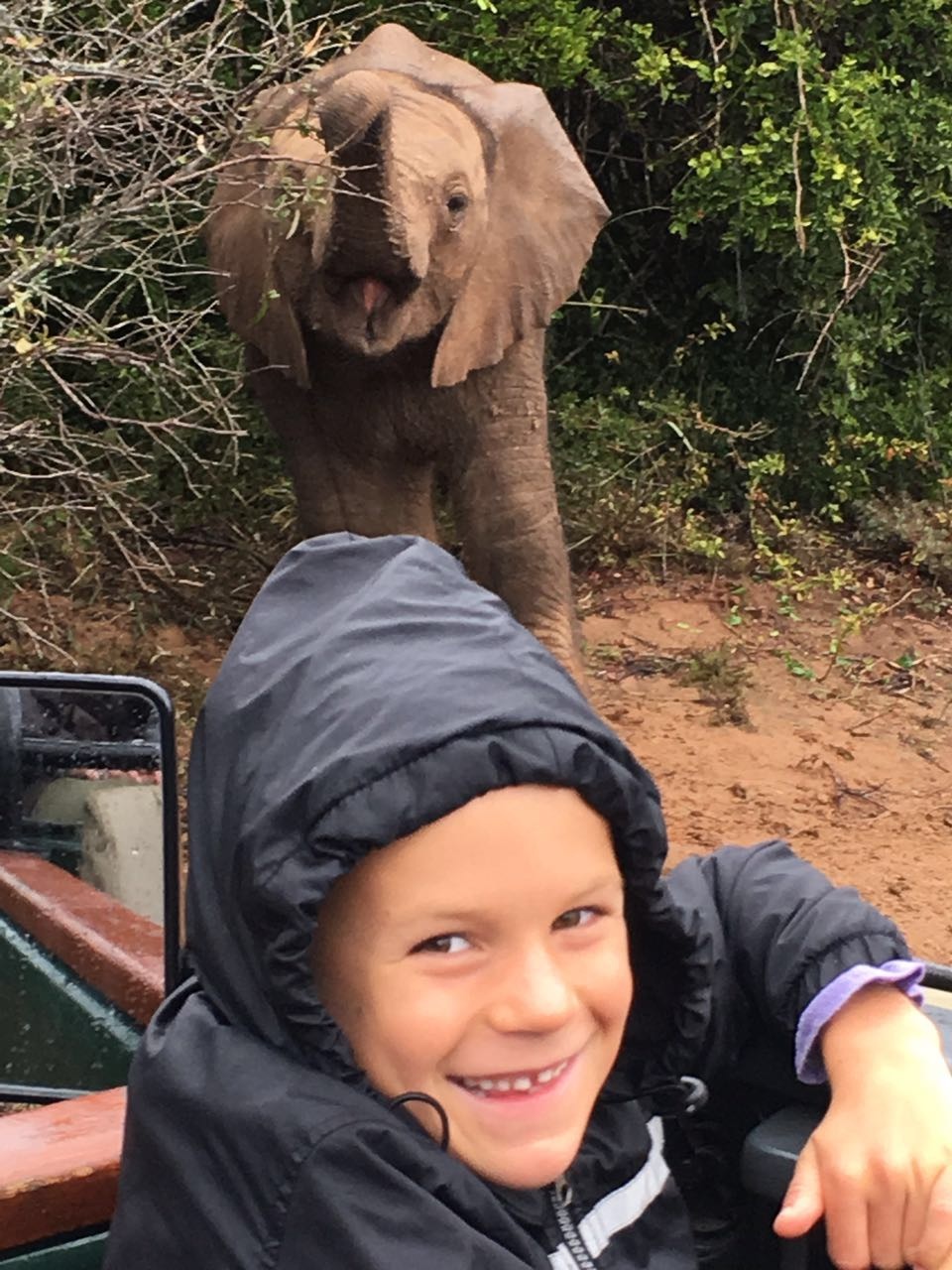 Kariega Guest with Elephant Calf