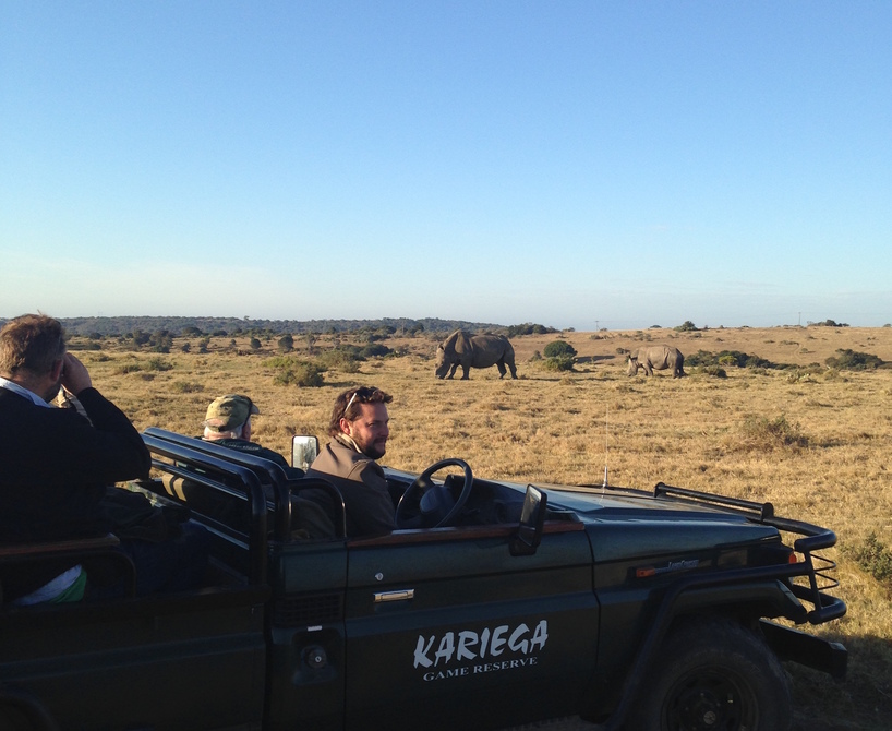 Kariega Safari Rhino Sighting