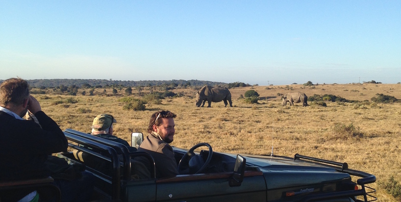 Kariega Safari Rhino Sighting