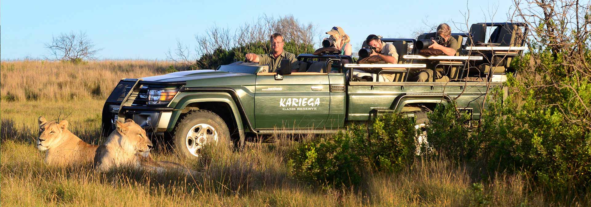 Game Drive Lion South African Safari Deals