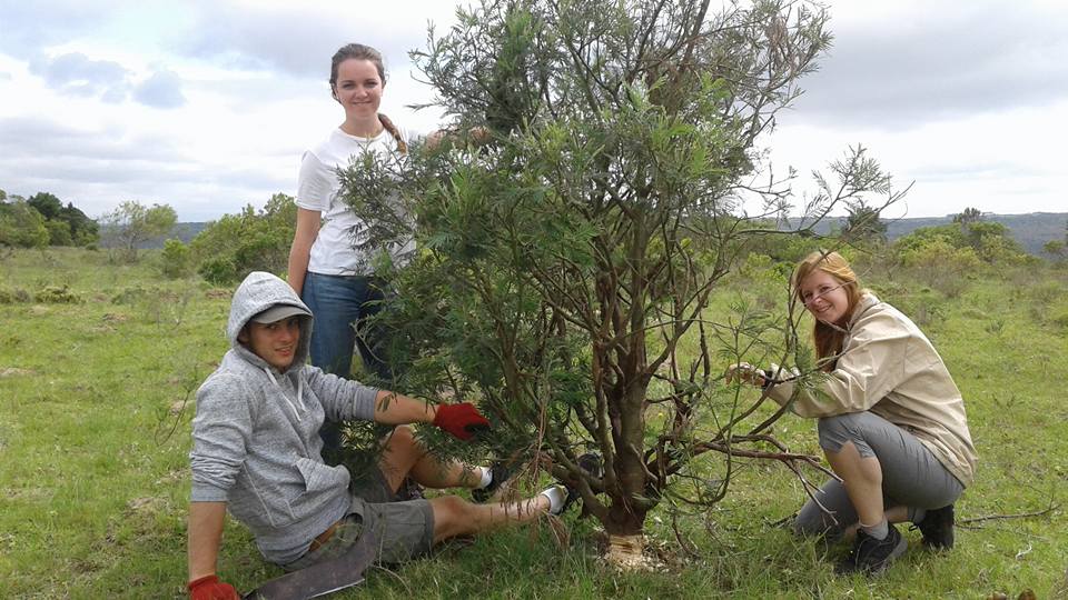 Kariega Volunteers controlling alien invasion