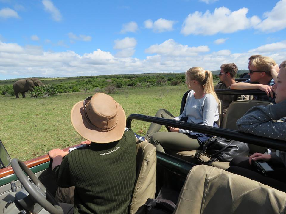 Kariega Volunteers Monitoring Elephant