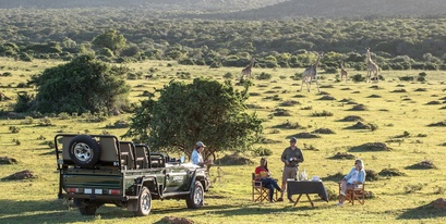 kariega-game-reserve-honeymoon-safari.jpg