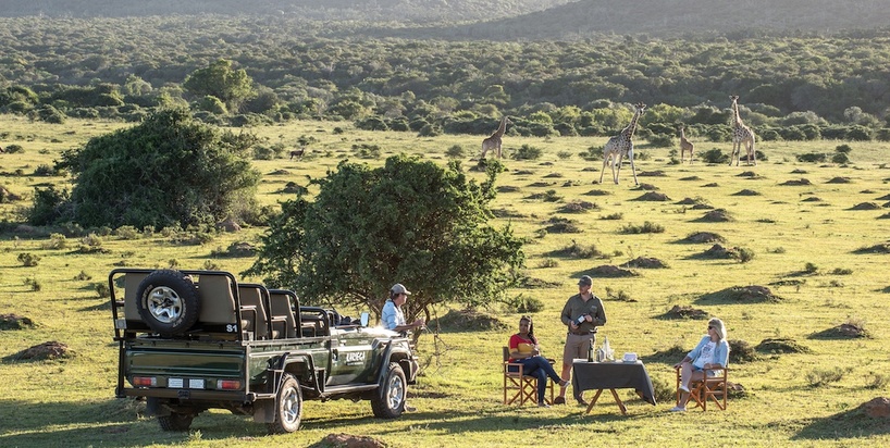 kariega-game-reserve-honeymoon-safari.jpg