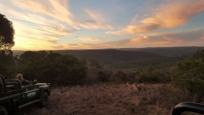 kariega-honeymoon-NicolaMcNally.jpg