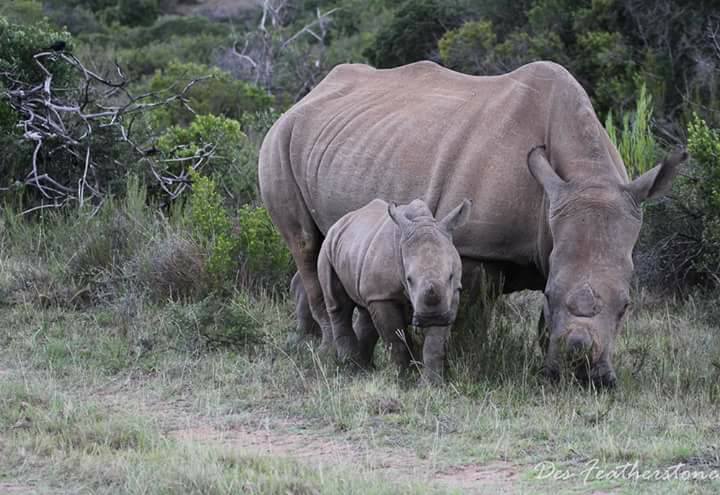 Thandi and Colin at Kariega by Des Featherstone