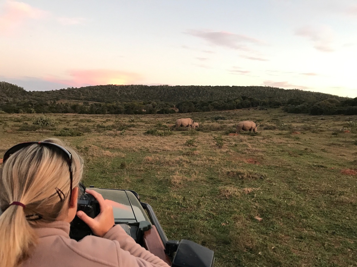 Ranger Jo enjoying sunset with Rhino Thandi, Thembi and Colin