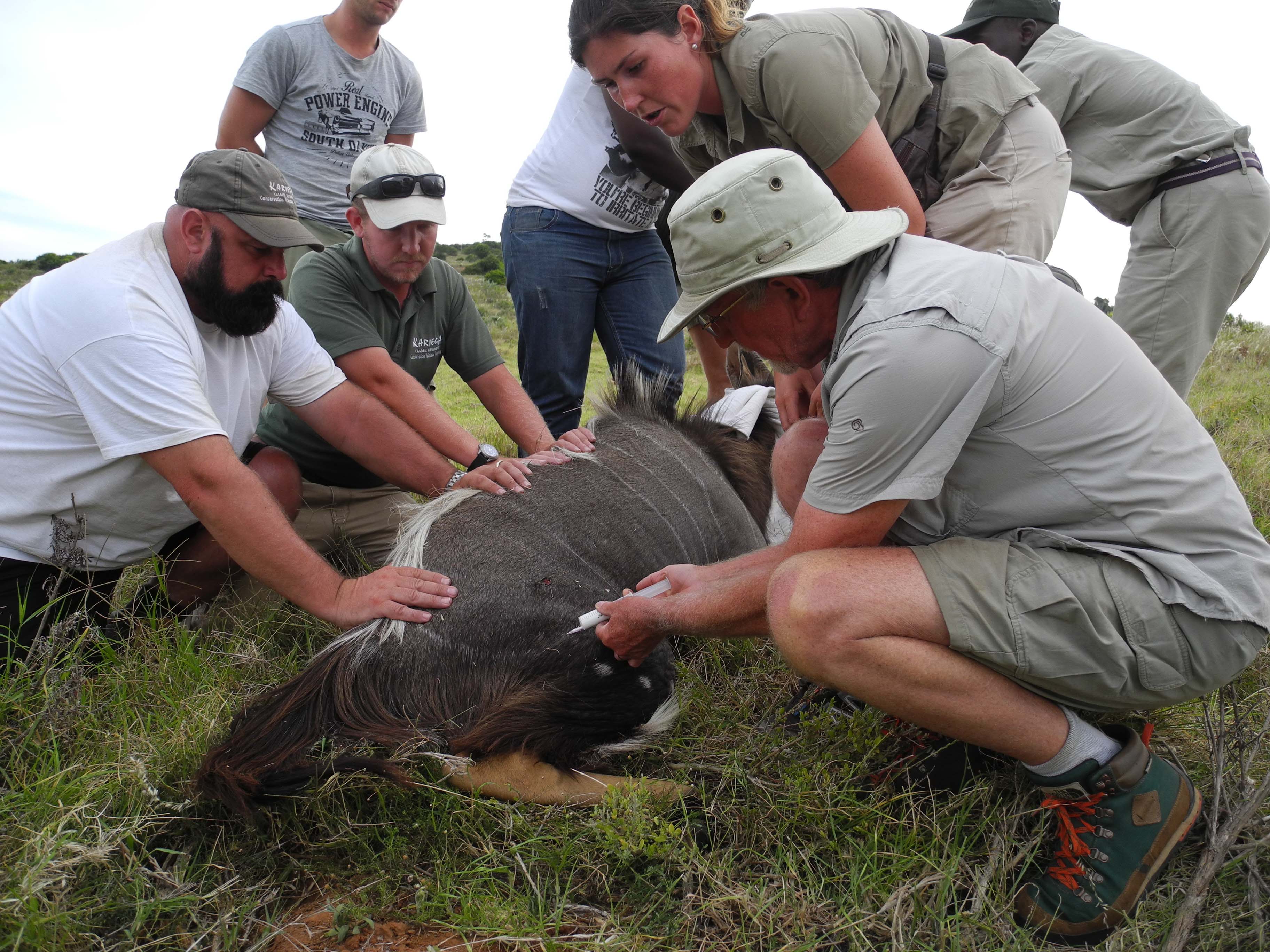 Kariega Volunteer Graham Harvey