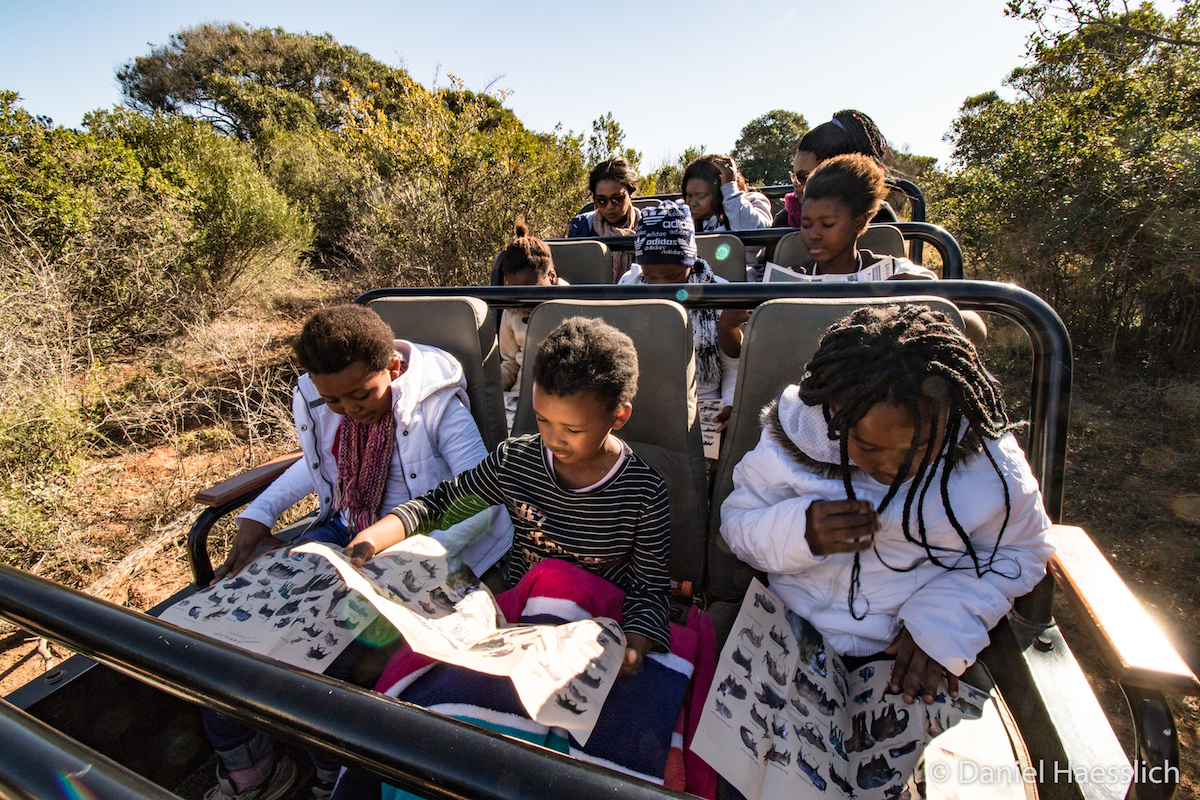 Young netball players examine their Kariega species identification sheet