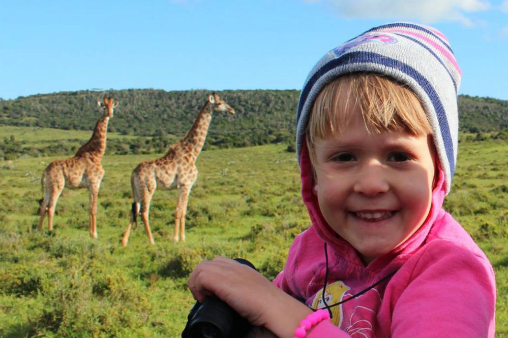 Giraffe African Animal Facts for Kids
