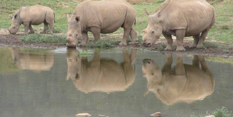 Kariega - Thandi and family at dam - Vivien Lee 2017.2018.jpg