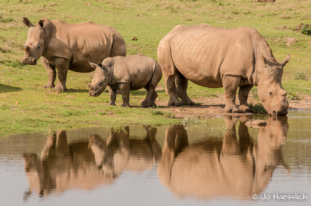 Kariega - Thandi, Thembi & Colin - Jo Haesslich.JPG