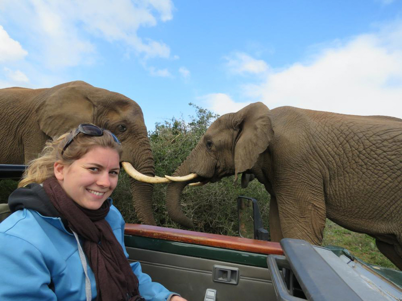 Kariega-Volunteer-Testimonials-Elephant-Monitoring.JPG