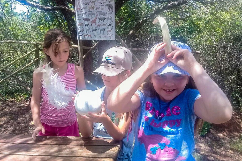 Kariega Kids On Safari Educational Trail