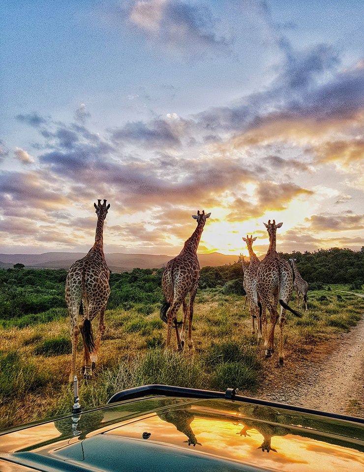 Kariega Though The Eyes Of Ranger Wayne Howarth