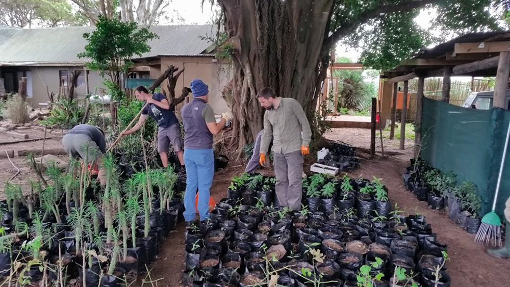 Kariega Indigenous Nursery