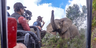 Kariega-CoyotePeterson-Mirror-Elephant.JPG