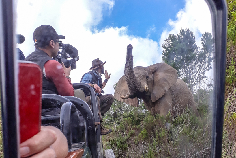 Kariega-CoyotePeterson-Mirror-Elephant.JPG