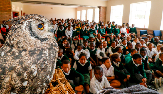 Kariega-OwlTalks-Schools4.JPG