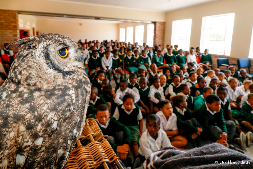 Kariega Safaris Owl Species Talks Schools