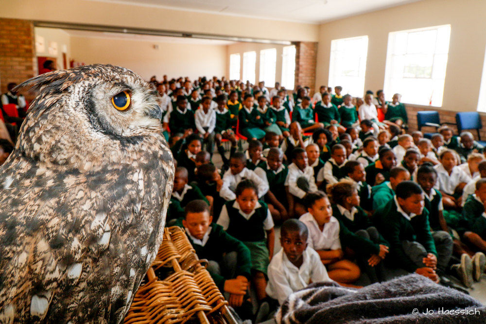 Kariega Conservation Education