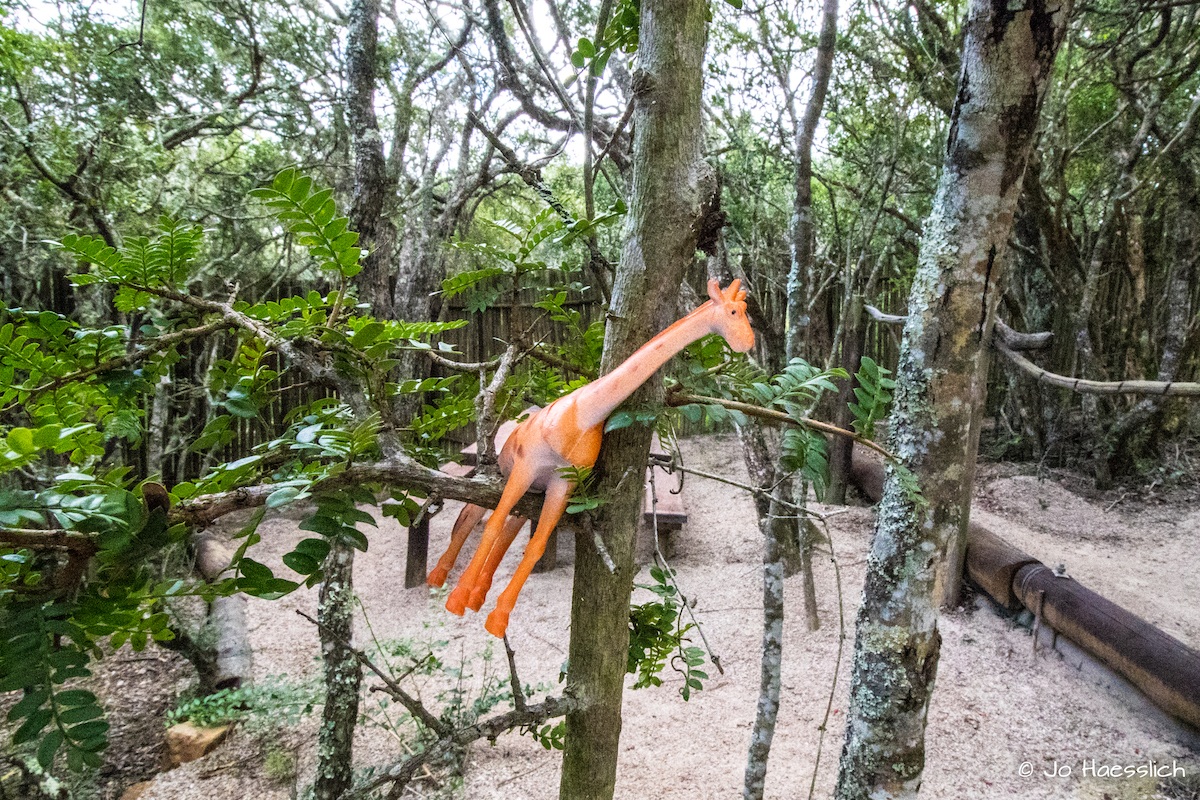 Kariega Safari Easter hunt with giraffe marking the spot