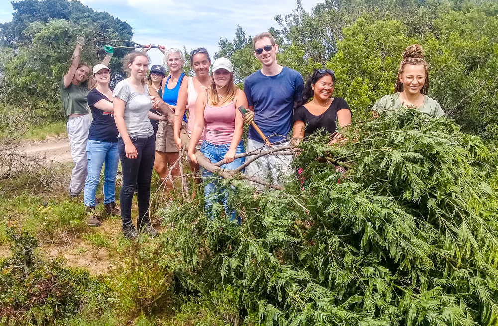 Kariega Volunteers March Removing Alien Plants