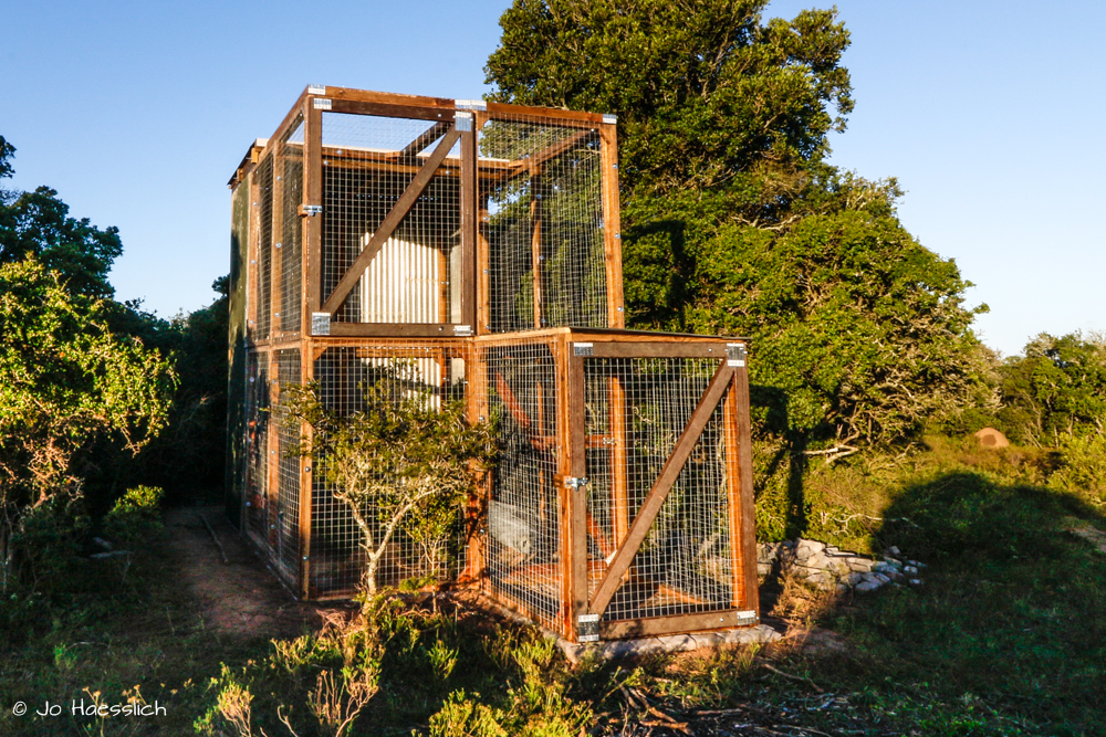 Kariega Owl Hacking Enclosure