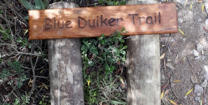 Kariega-Blue-Duiker-Hiking-Trail-Sign.jpg