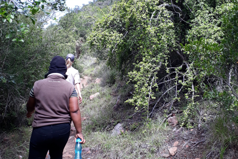 Kariega Blue Duiker Safari Bush Walk