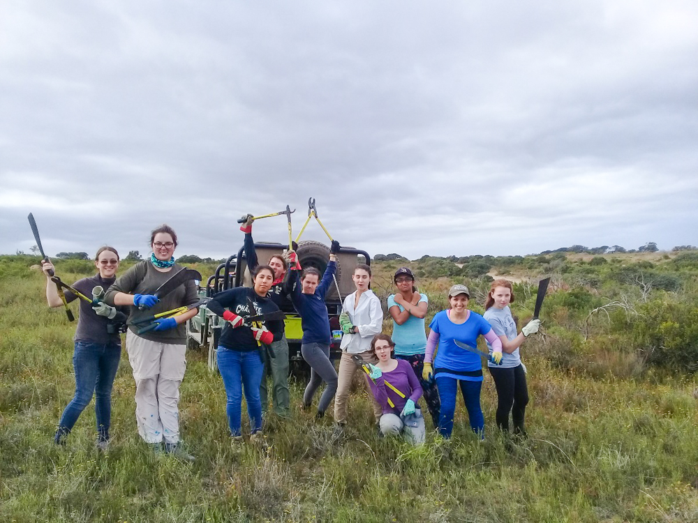 Kariega Conservation Volunteer Alien Invasive Plant Control June18