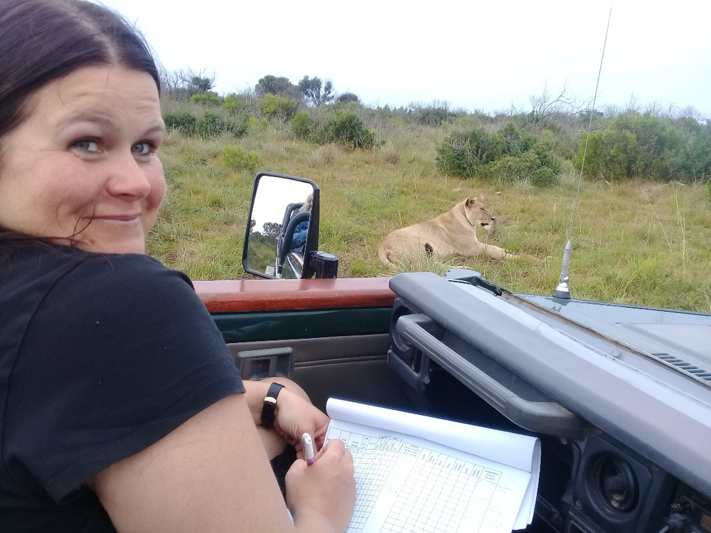 Kariega Conservation Volunteer Lion Monitoring June18