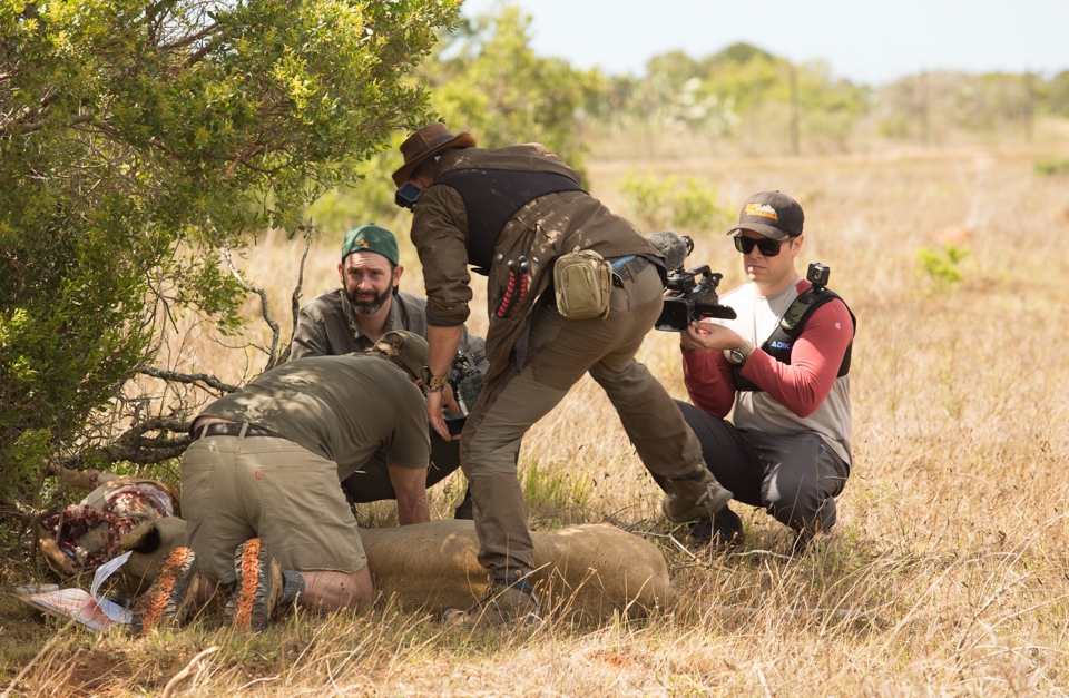 Kariega Brave Wilderness Crew Up Close With Lions