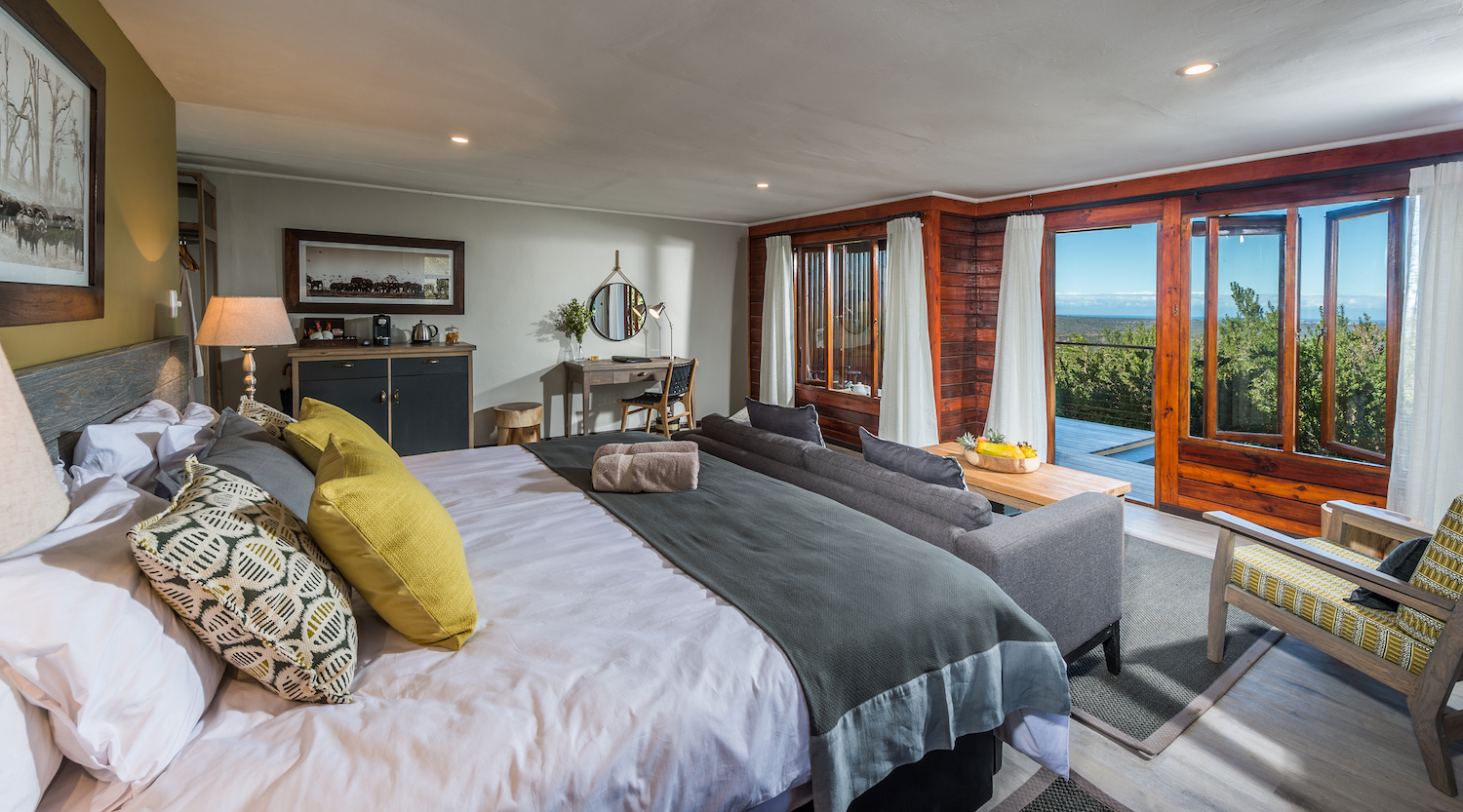 Best South Africa Malaria-Free Safari Suite