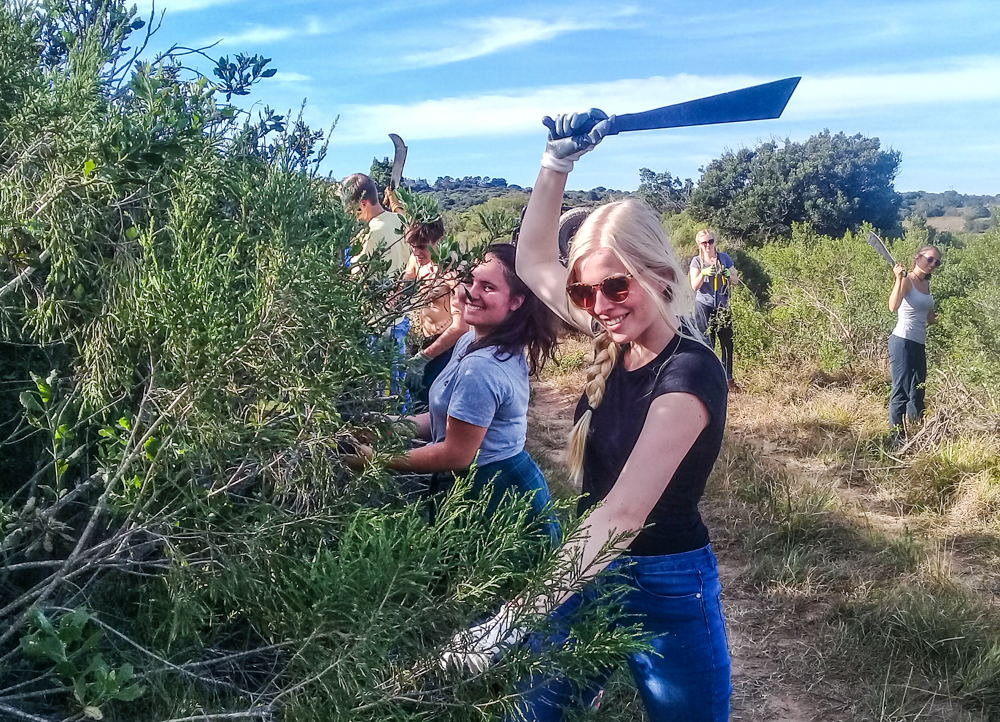 Kariega Volunteers Alien Invasive Plant Control