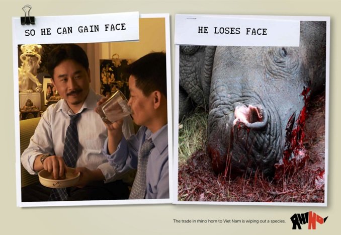 Rhino Horns Are Like Toenails - Breaking The Brand Advert Vietnam