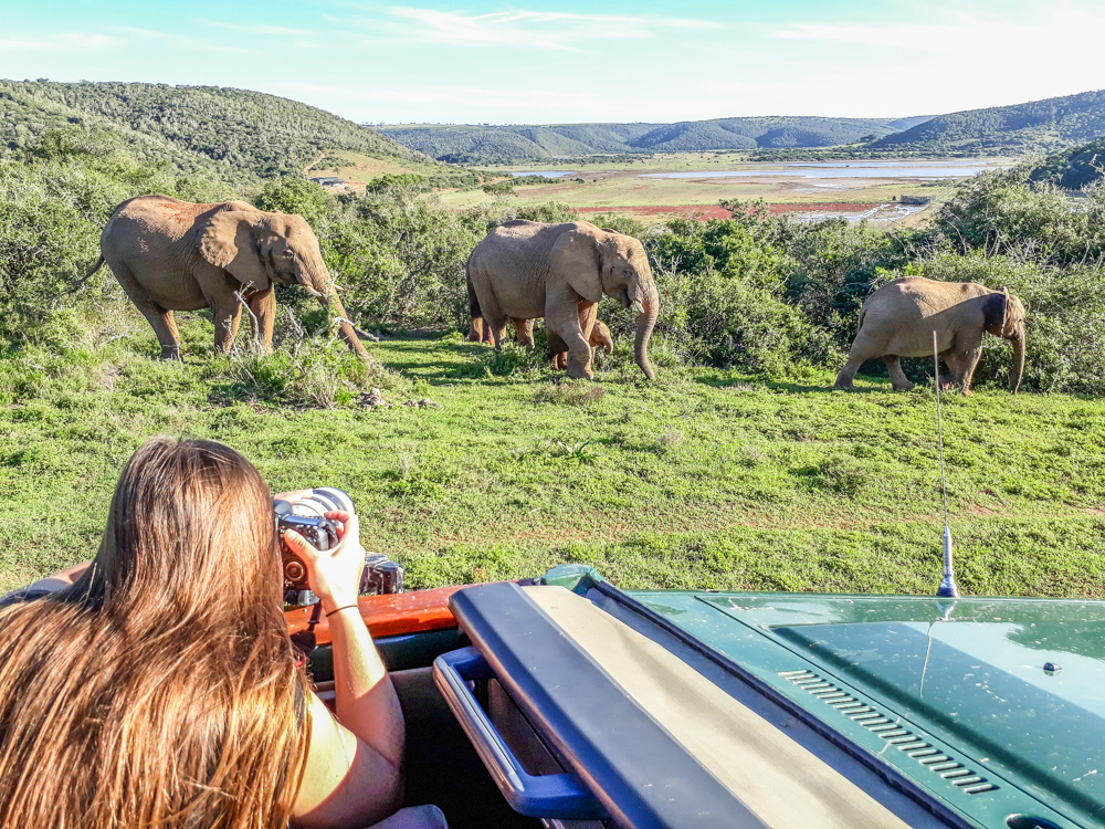 BBC Earth Visits Kariega Elephants