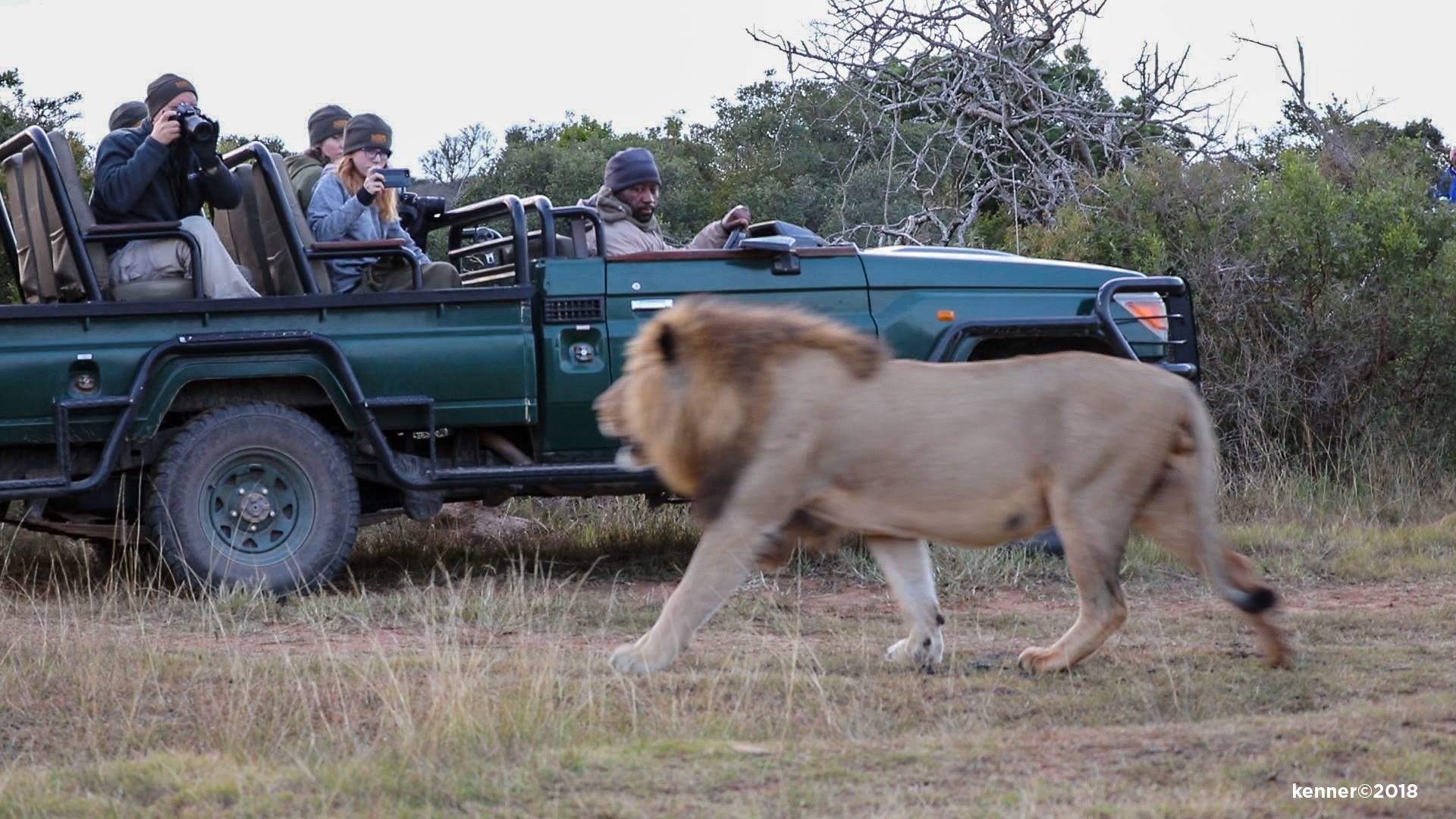 Jack Kenner Group Safari