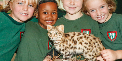 Kariega-Environmental-Education-Cat-Conservation-Trust.JPG