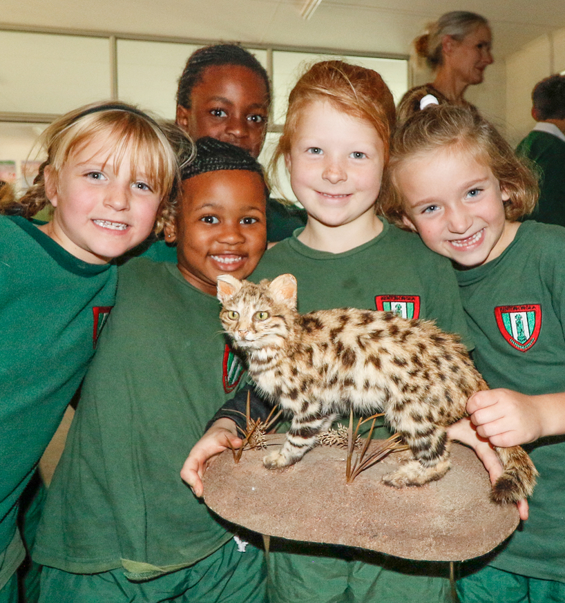 Kariega-Environmental-Education-Cat-Conservation-Trust.JPG