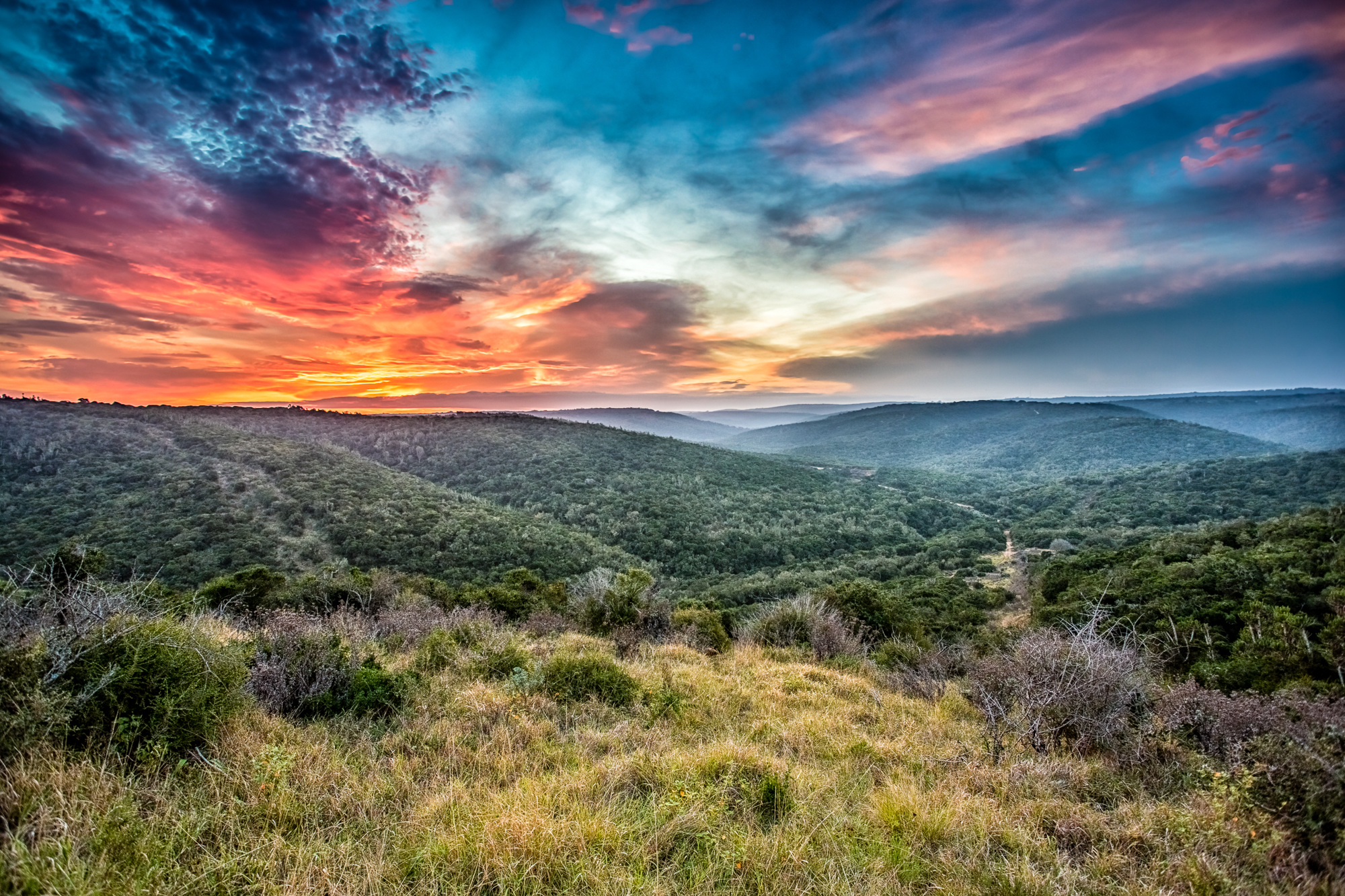 Picture Perfect South Africa Safari Vista