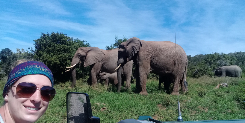 Kariega Volunteers - Ellies.JPG